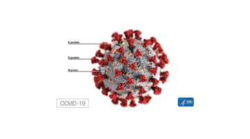 Features, Evaluation and Treatment Coronavirus (COVID-19)
