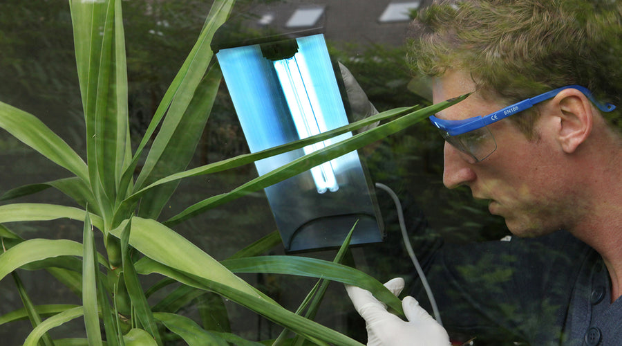 Surface Disinfection Methods