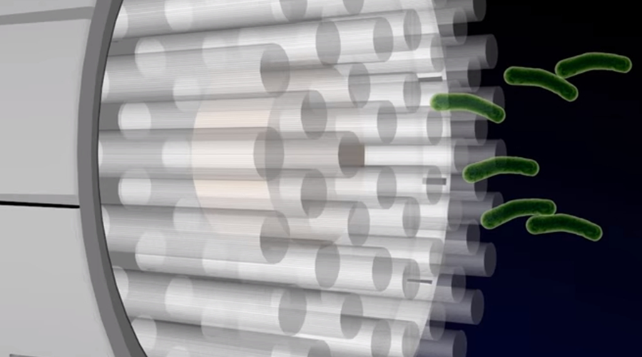 Killing Viruses with UV Light